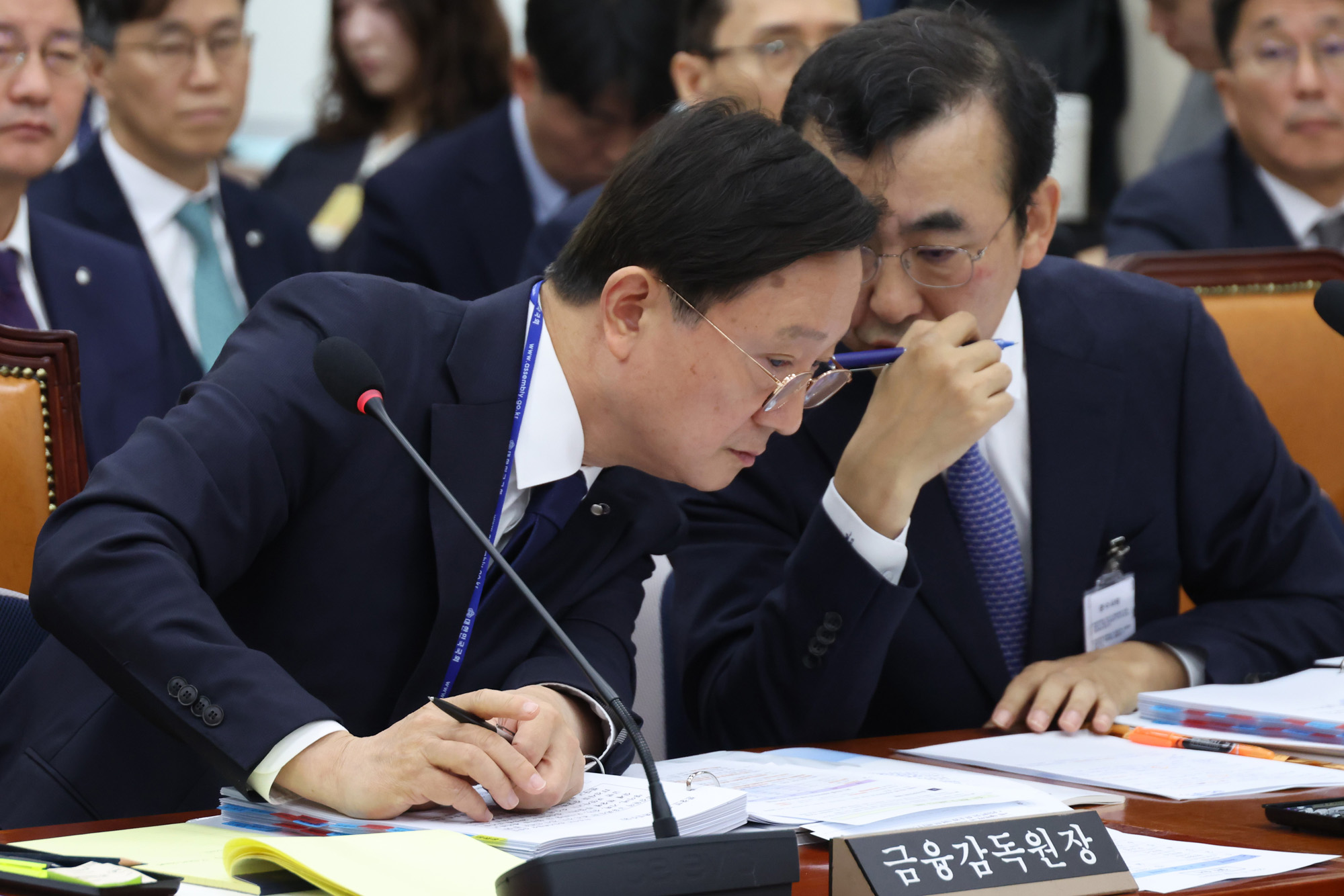 정치;국회;정무위원회 금융감독원 국정감사;이찬진 금융감독원장