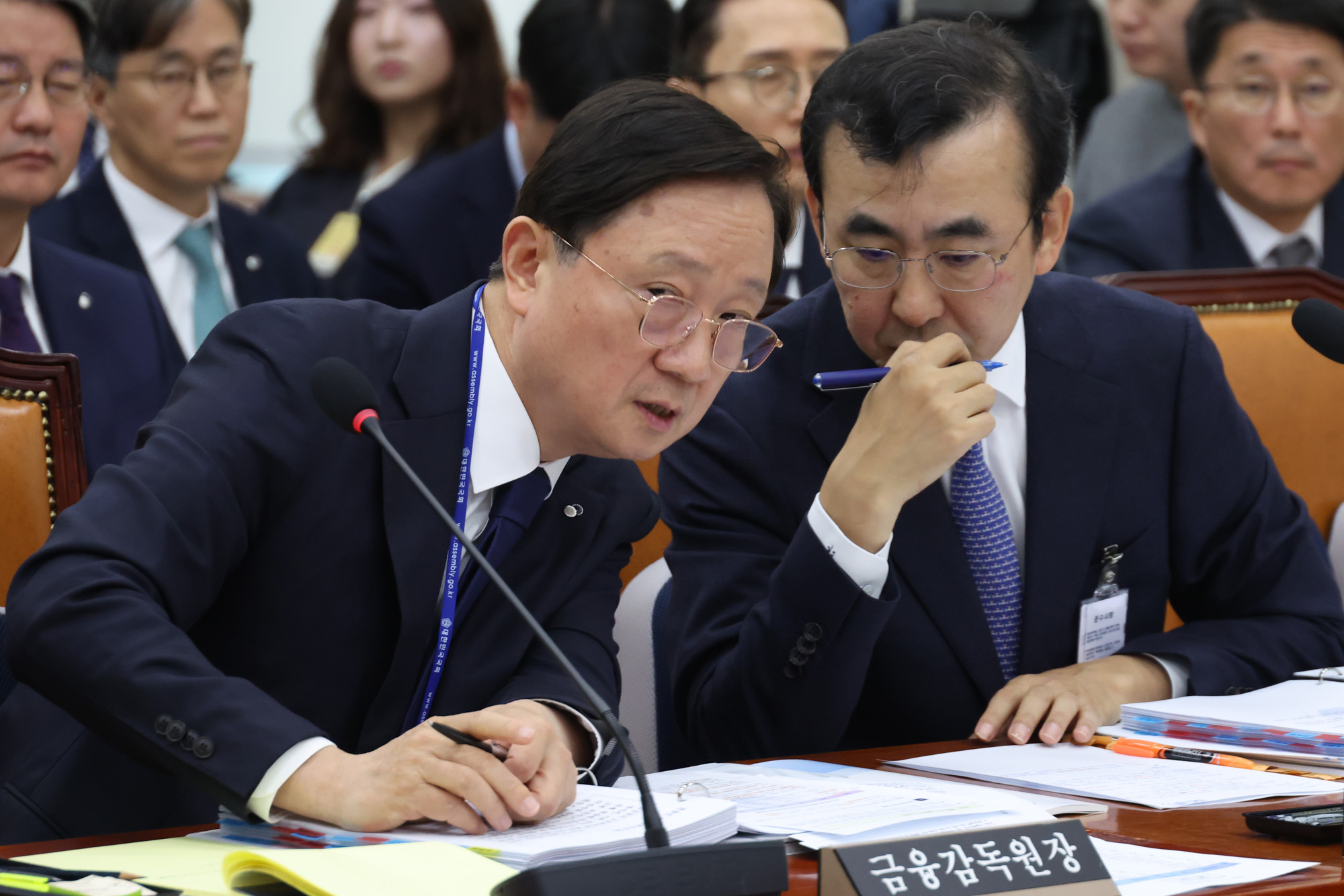 정치;국회;정무위원회 금융감독원 국정감사;이찬진 금융감독원장