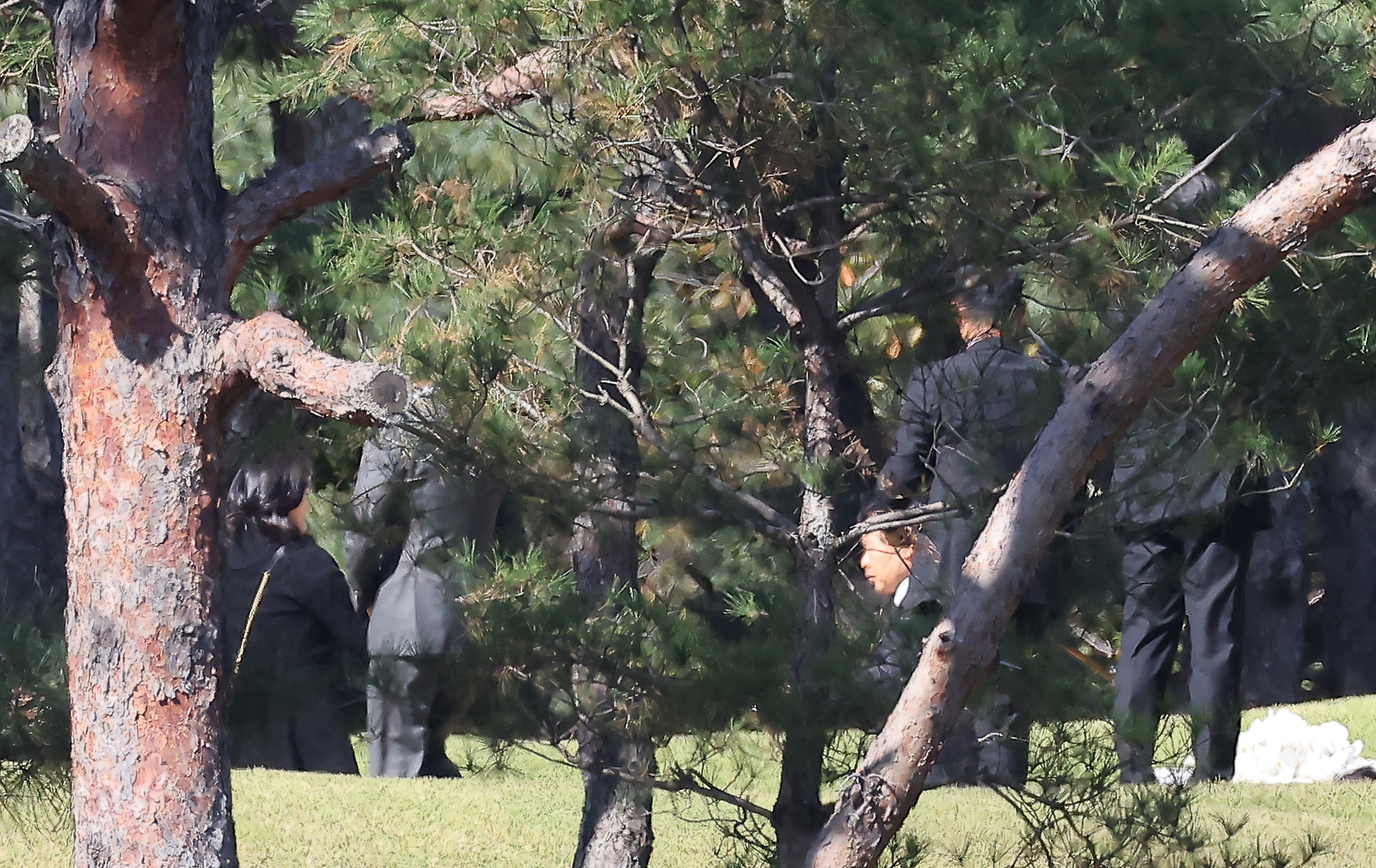 이건희;회장;선영;이재용;이서현;김재열
