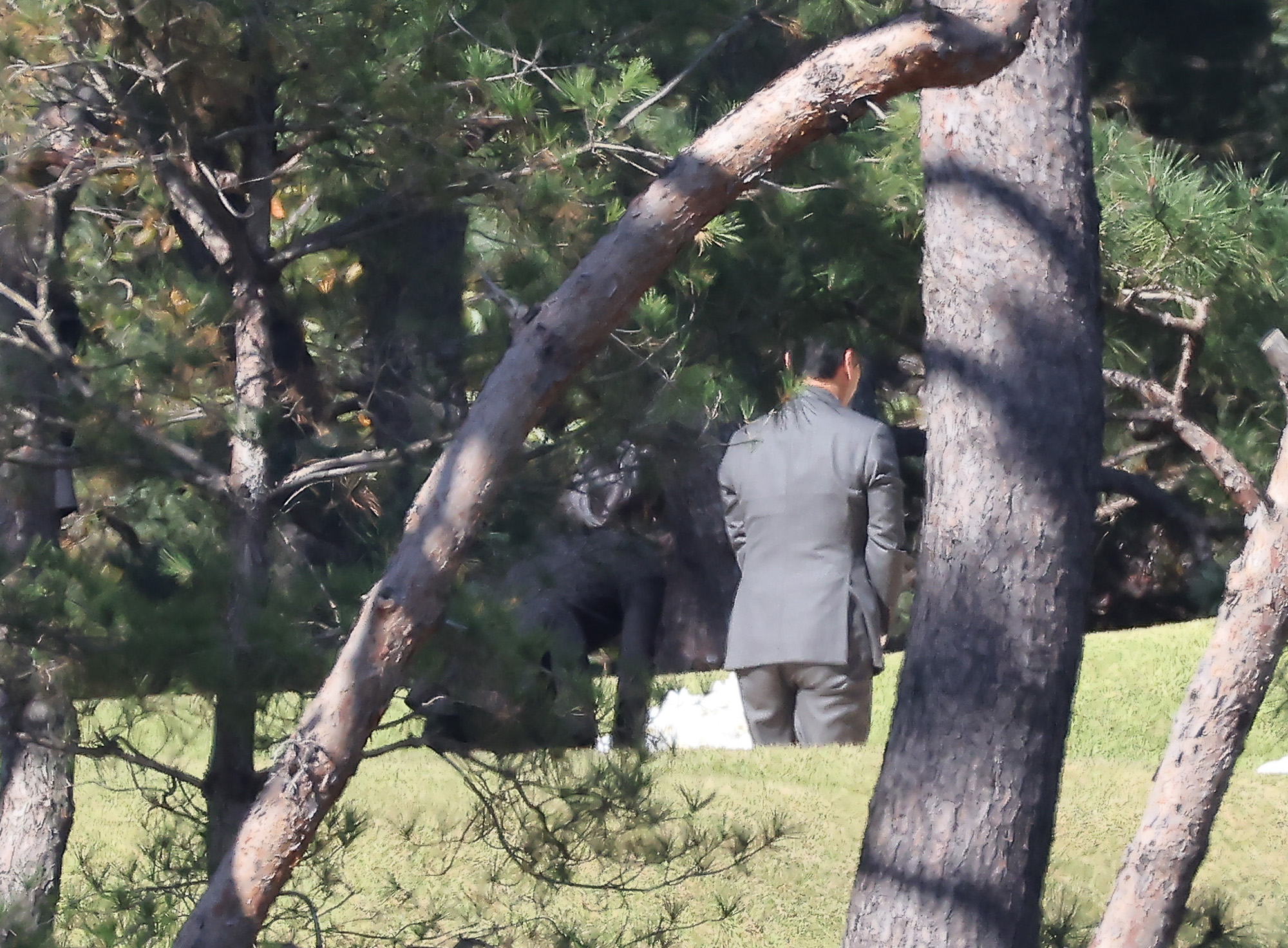 이건희;회장;선영;이재용;이서현;김재열