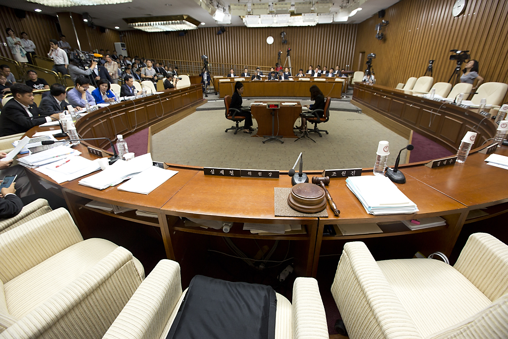 정치/국회/국정조사/세월호 침몰사고의 진상규