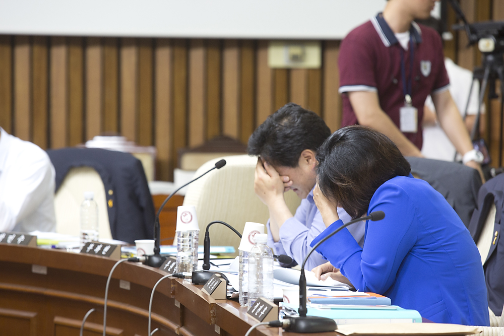 정치/국회/국정조사/세월호 침몰사고의 진상규