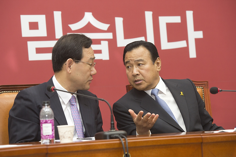 정치/정당/새누리당/비상대책위원회의