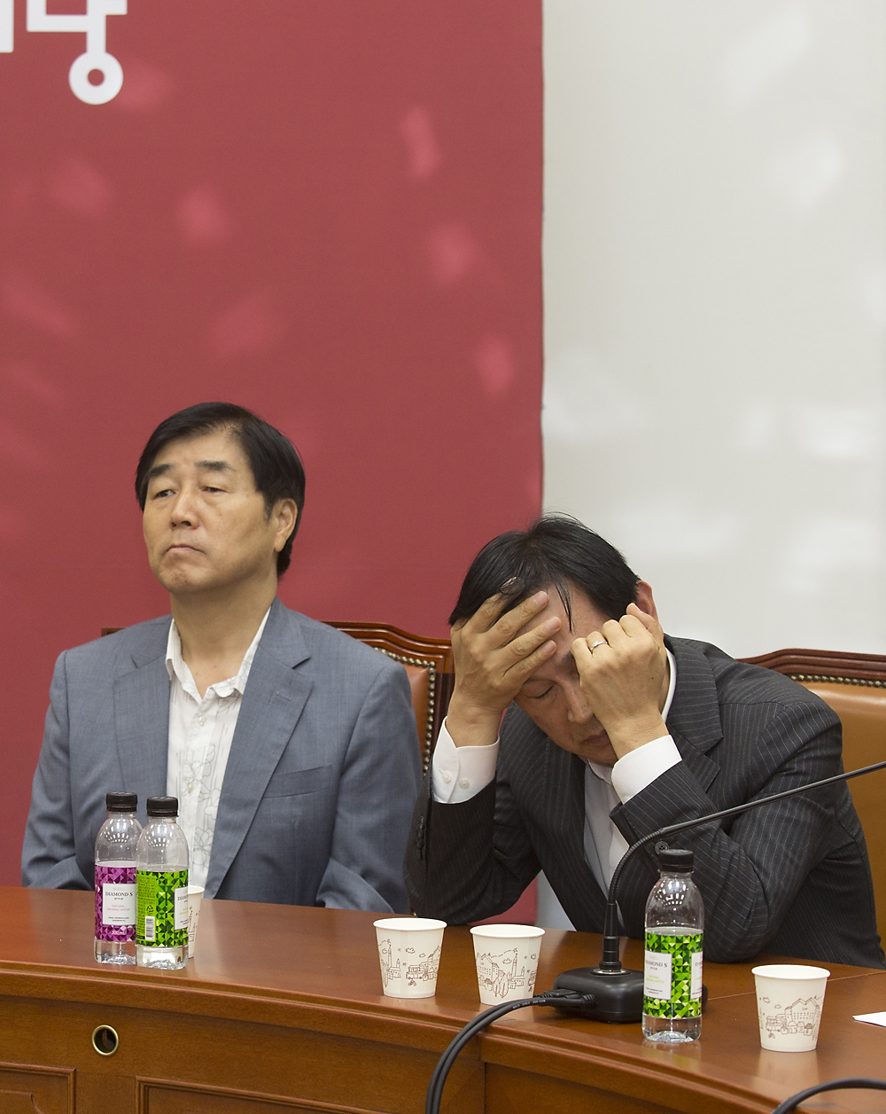 정치/정당/새누리당/비상대책위원회의