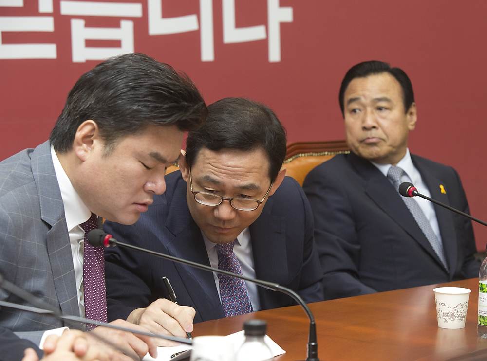 정치/정당/새누리당/비상대책위원회의