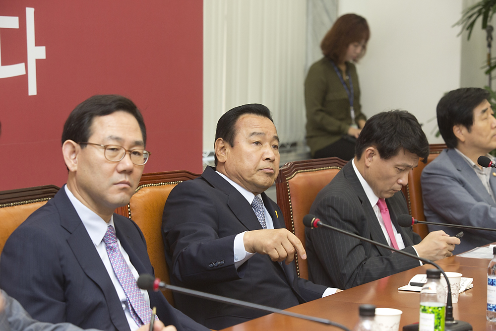 정치/정당/새누리당/비상대책위원회의