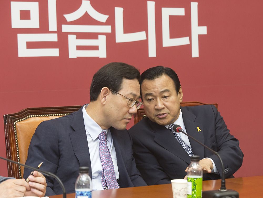 정치/정당/새누리당/비상대책위원회의