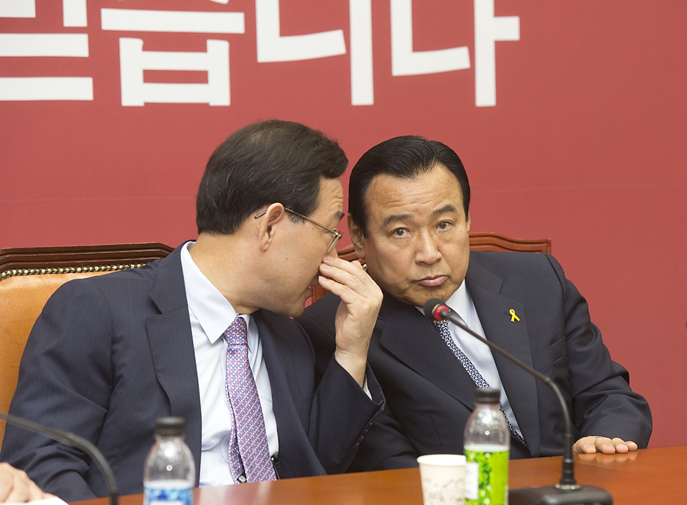 정치/정당/새누리당/비상대책위원회의
