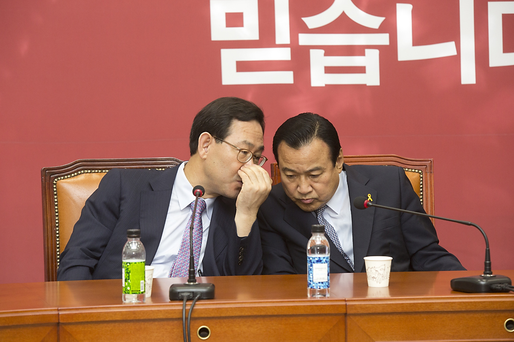 정치/정당/새누리당/비상대책위원회의