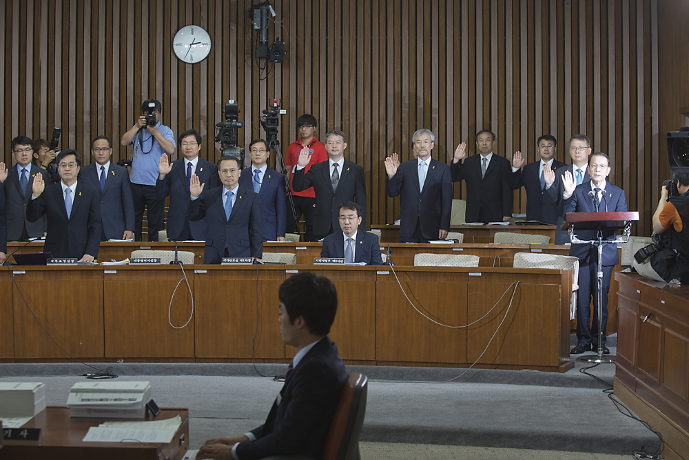 정치/국회/특위/세월호침몰사고의 진상규명을 