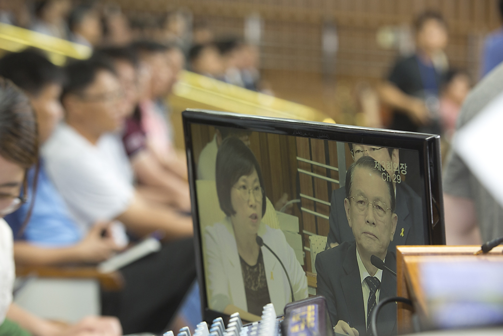 정치/국회/특위/세월호침몰사고의 진상규명을 