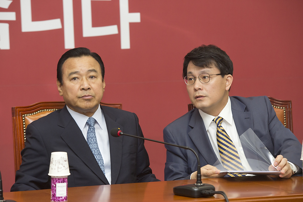 정치/정당/새누리당/비상대책위원회의