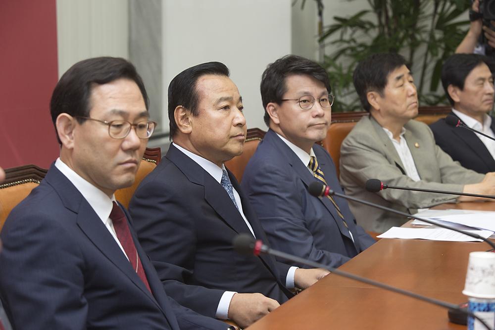 정치/정당/새누리당/비상대책위원회의