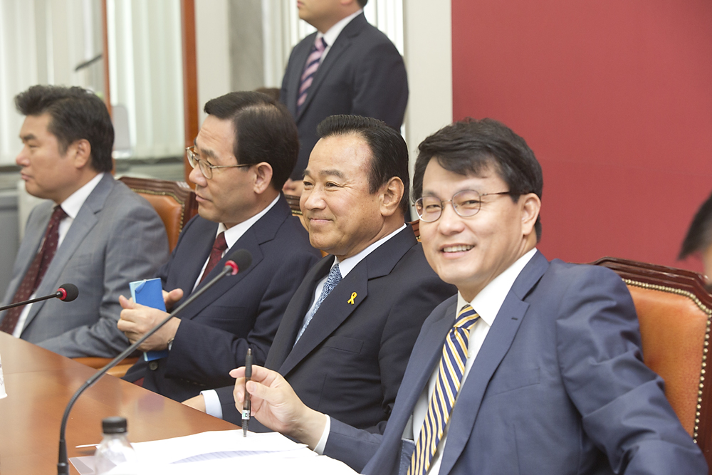 정치/정당/새누리당/비상대책위원회의