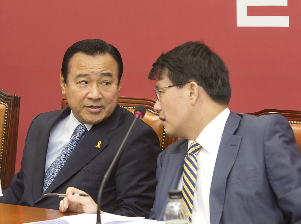 정치/정당/새누리당/비상대책위원회의