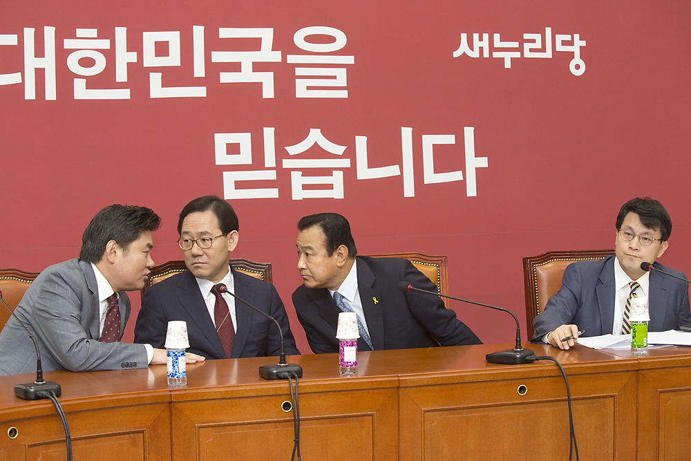 정치/정당/새누리당/비상대책위원회의