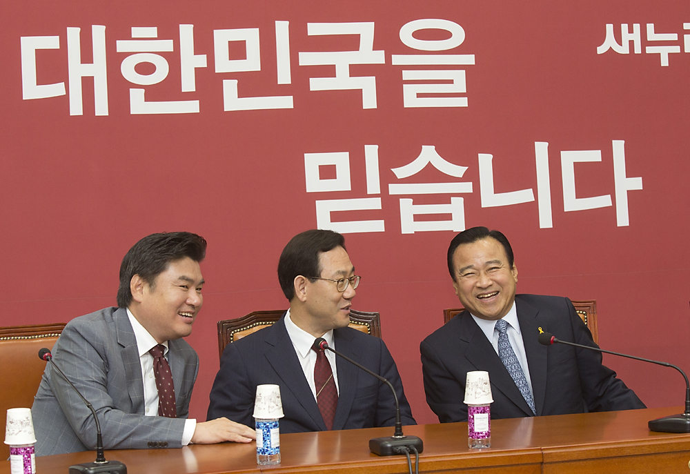 정치/정당/새누리당/비상대책위원회의