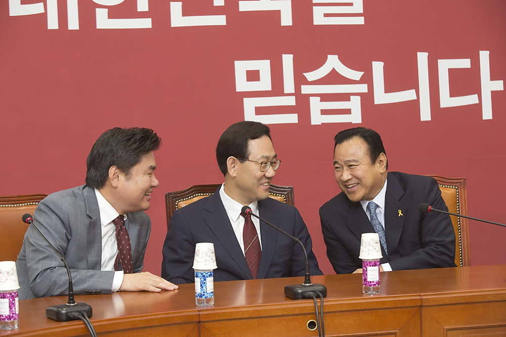 정치/정당/새누리당/비상대책위원회의