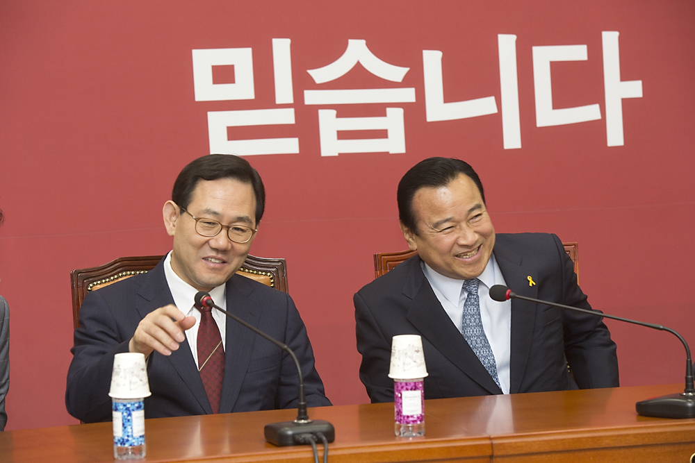 정치/정당/새누리당/비상대책위원회의