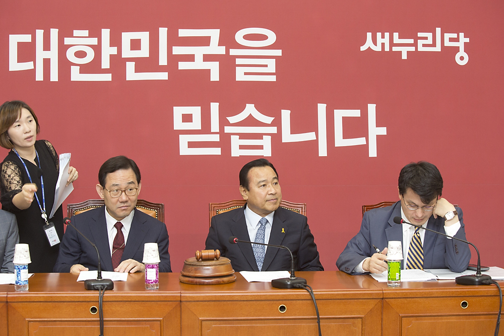 정치/정당/새누리당/비상대책위원회의