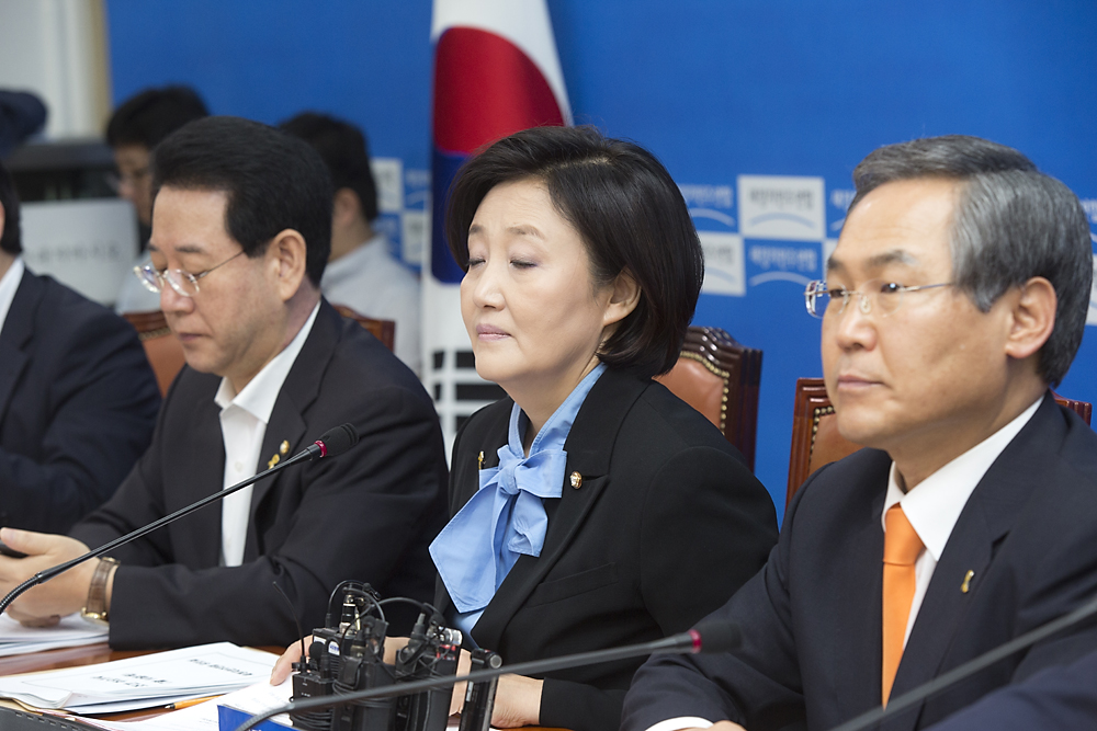 정치/정당/새정치민주연합/정책조정회의