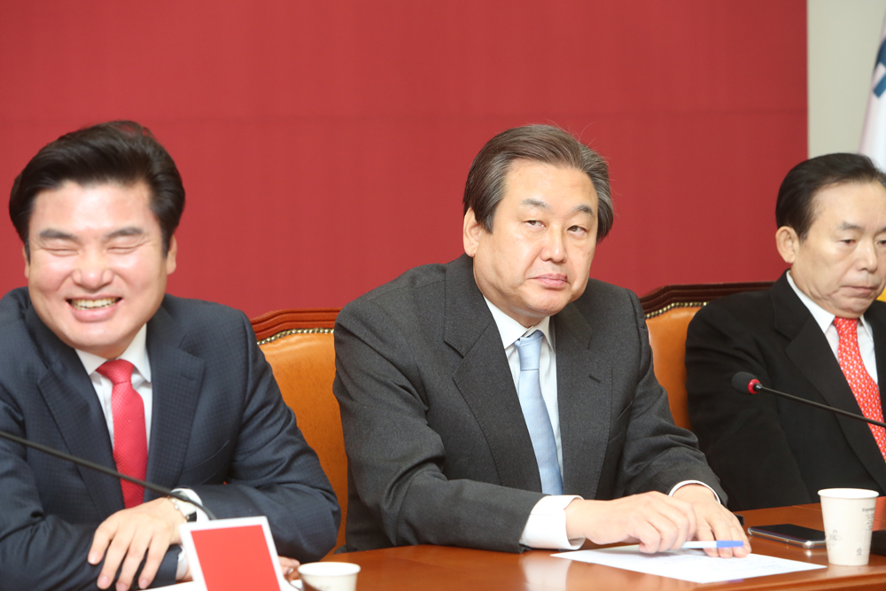 정치/국회/새누리당/최고위원회의/김무성