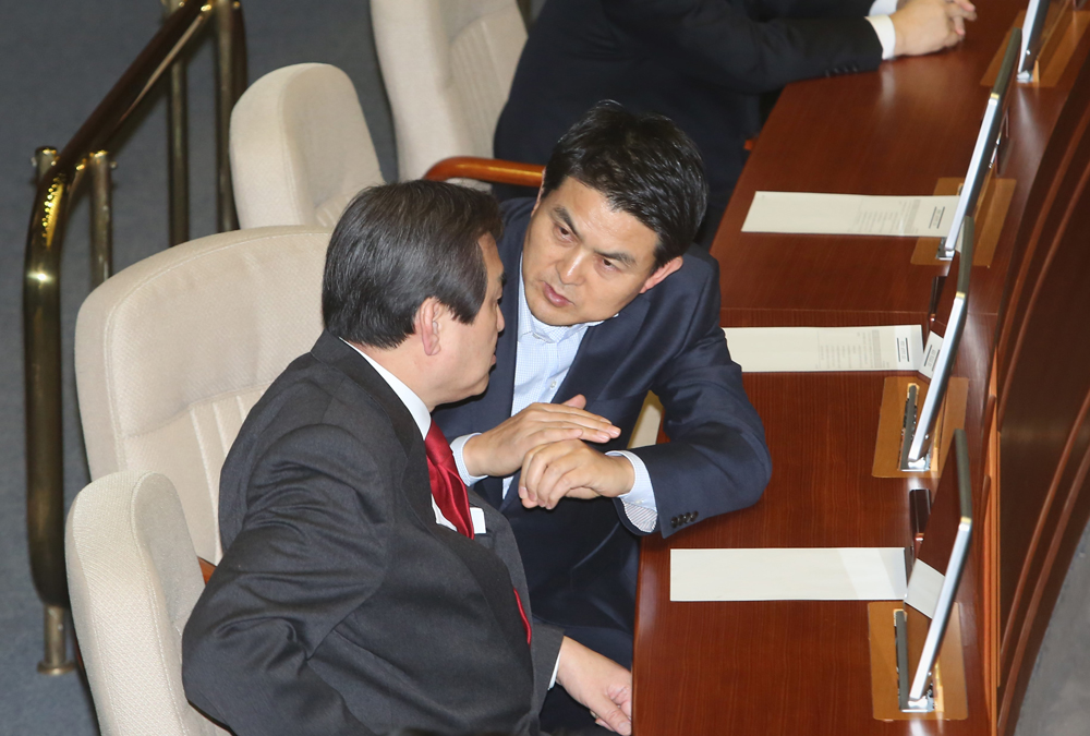 정치/국회/본회의장/의장직권상정/국회본회의/