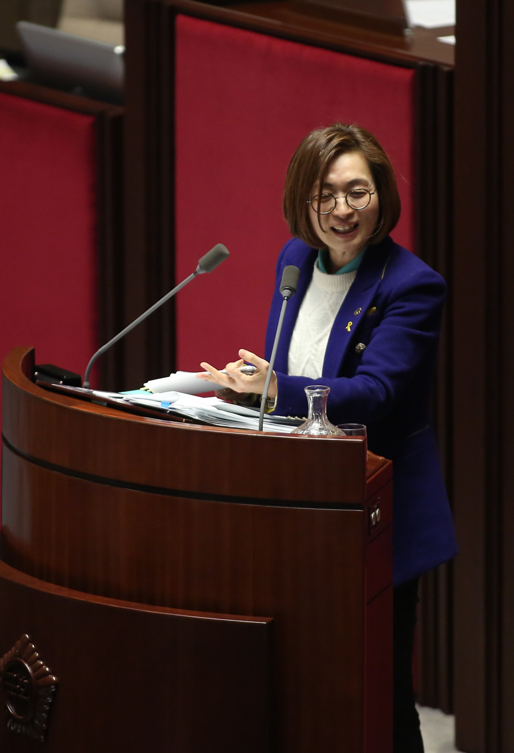 정치/국회/본회의장/의장직권상정/국회본회의/