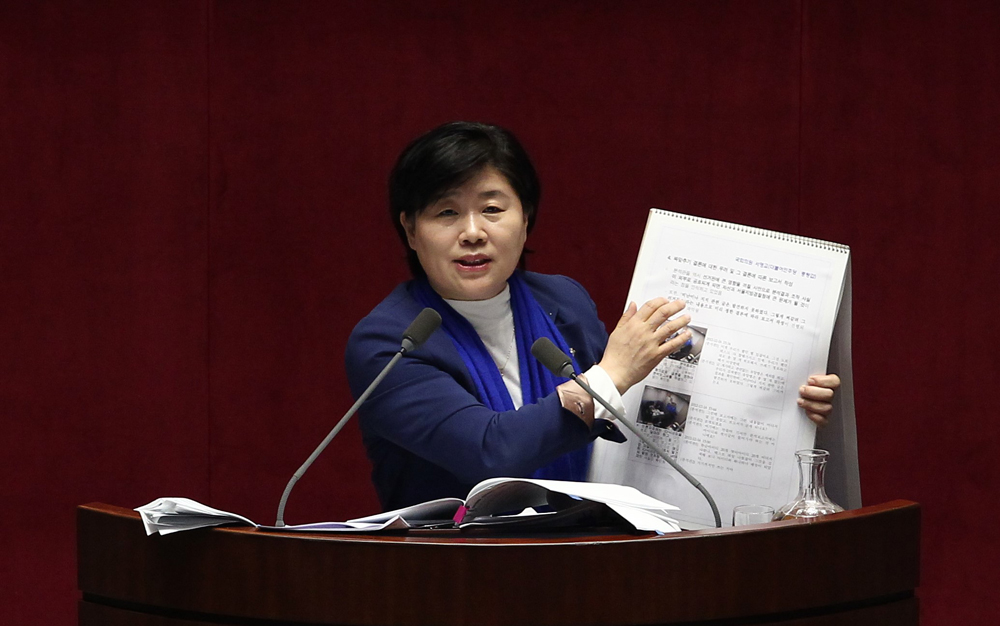 정치/국회/더민주당/더불어민주당/