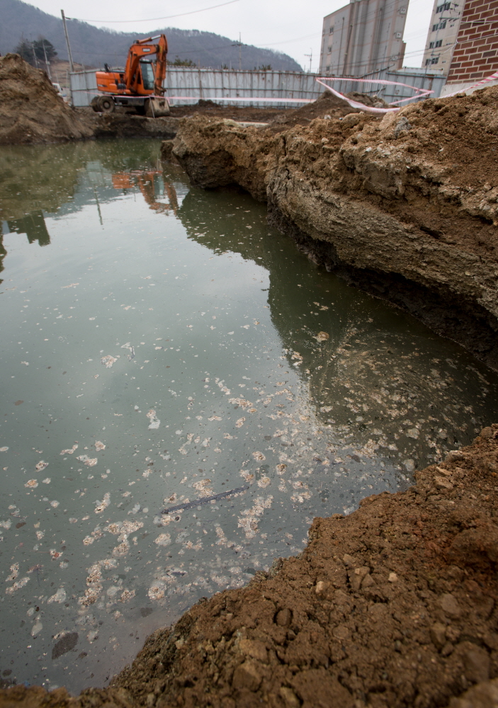 동양대학교/ 동양대 북서울캠퍼스 / 동양대 기름