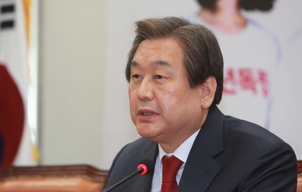 정치/국회/새누리당/김무성