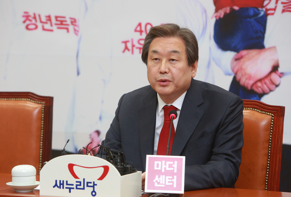 정치/국회/새누리당/김무성