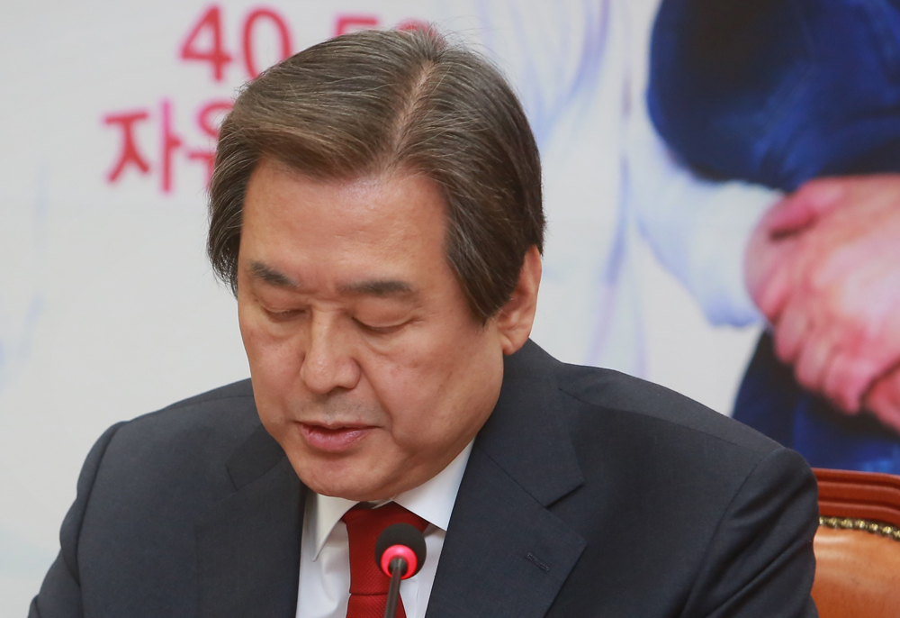 정치/국회/새누리당/김무성