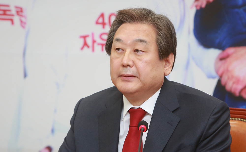 정치/국회/새누리당/김무성