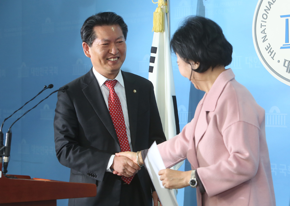 정치/국회/더민주당/더불어민주당/손혜원출마/