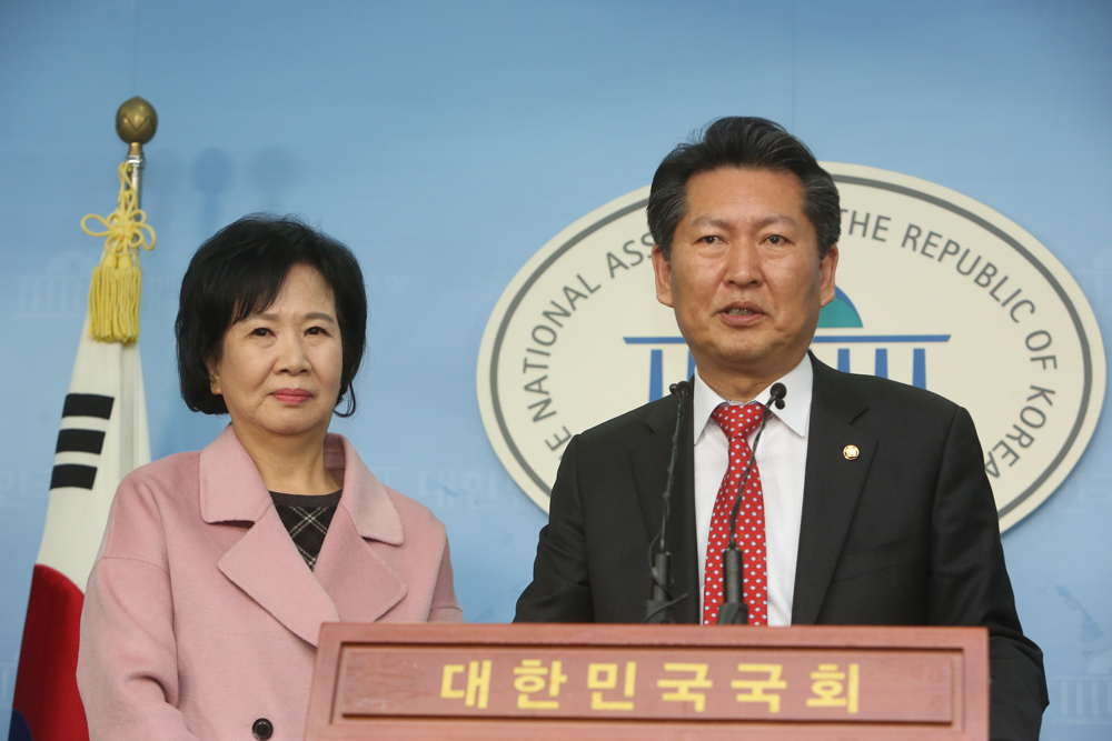 정치/국회/더민주당/더불어민주당/손혜원출마/