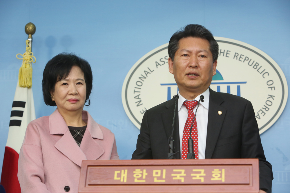 정치/국회/더민주당/더불어민주당/손혜원출마/