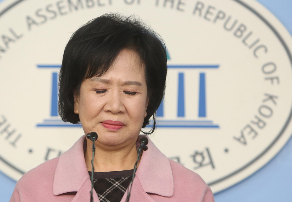 정치/국회/더민주당/더불어민주당/손혜원출마/