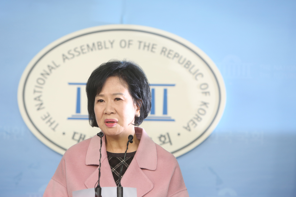 정치/국회/더민주당/더불어민주당/손혜원출마/