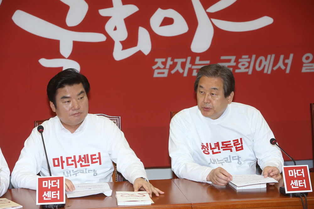 정치/국회/새누리당/최고위원회의/김무성