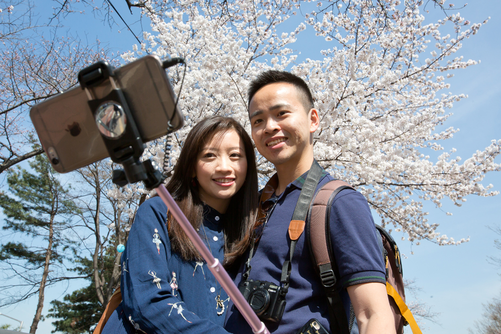 윤중로 벗꽃 축제
