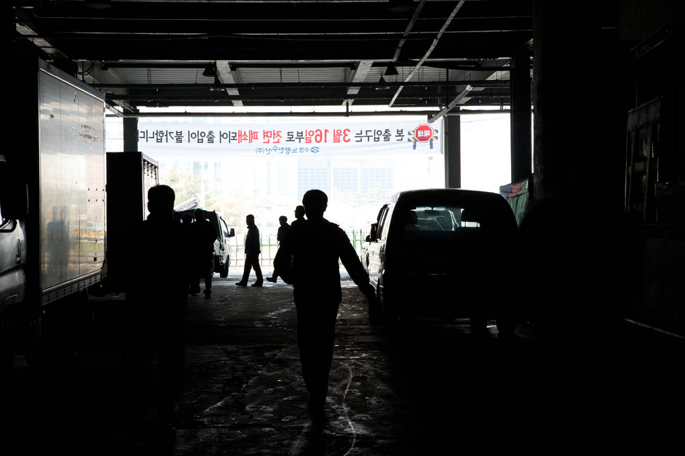 사회/사건/사고/노량진수산시장/이전/