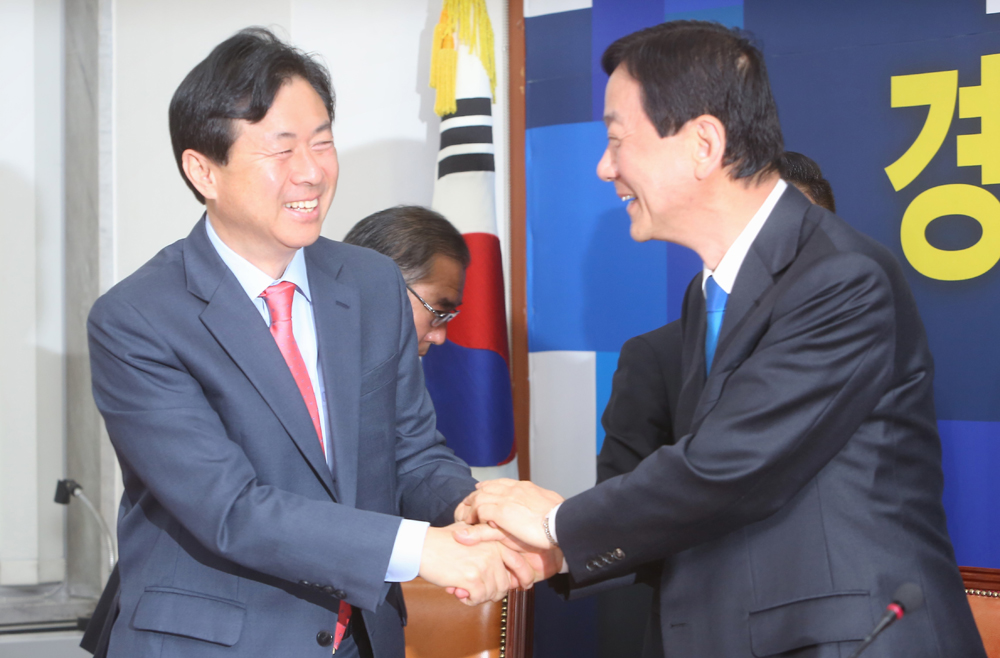 정치/국회/더민주당/더불어민주당/비상대책위원