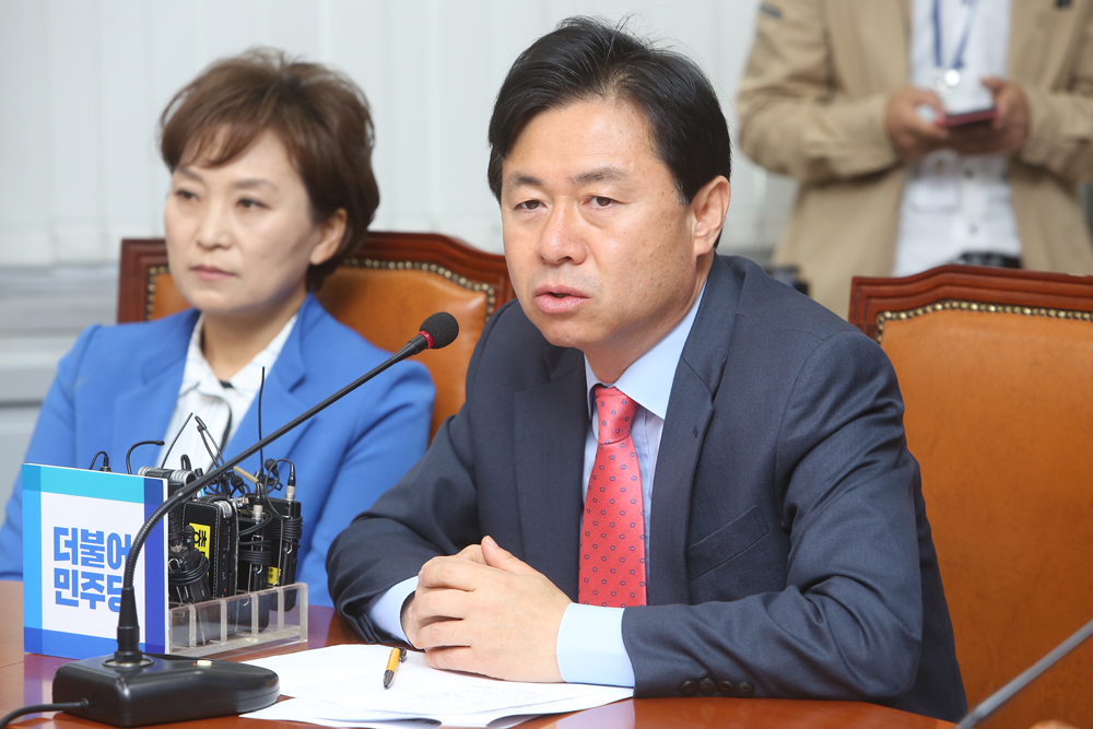 정치/국회/더민주당/더불어민주당/비상대책위원