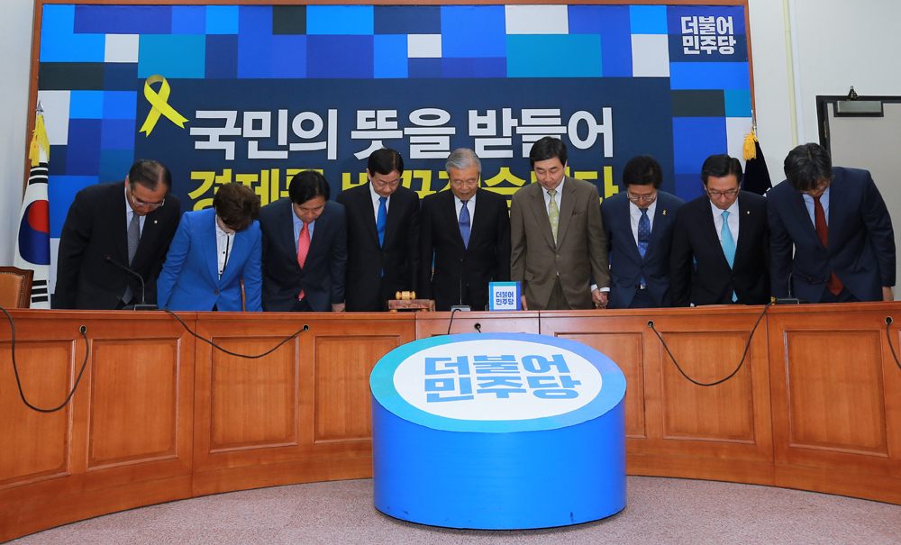 정치/국회/더민주당/더불어민주당/비상대책위원