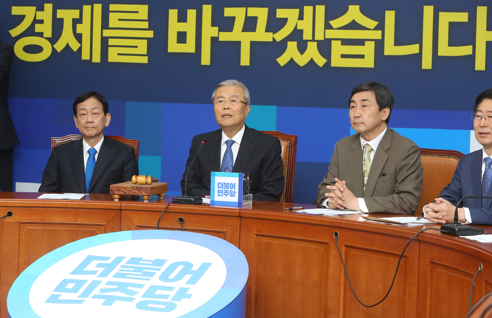 정치/국회/더민주당/더불어민주당/비상대책위원
