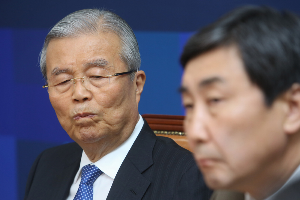 정치/국회/더민주당/더불어민주당/비상대책위원