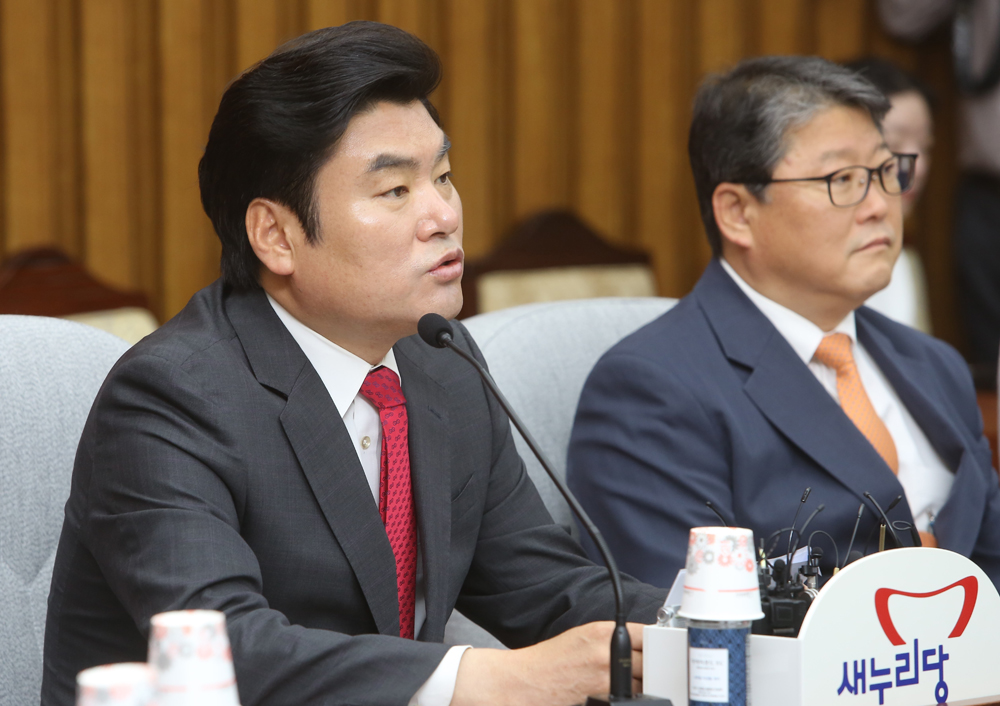 정치/새누리당/원유철/원내대책회의