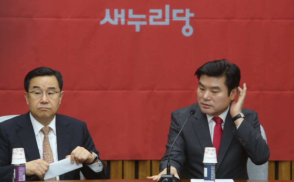 정치/새누리당/원유철/원내대책회의