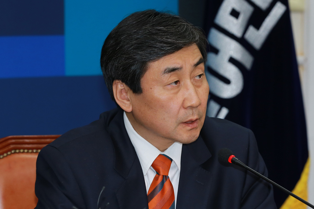 정치/국회/더민주당/더불어민주당/비상대책위원